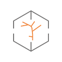 Forest Canopy Mapping