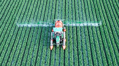 Con el sistema de autodirección CHCNAV, los caballones son especialmente rectos, el proceso de desherbado y la ventilación se optimizan, lo que permite a los agricultores generar más ingresos.