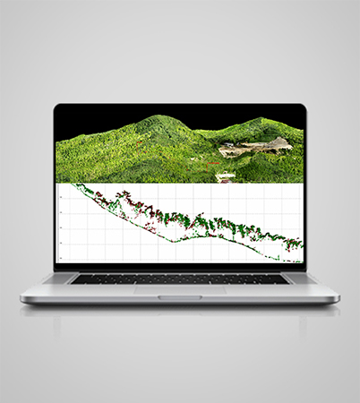 Exceptional Vegetation Penetration 