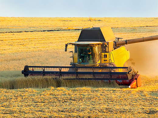 CHCNAV equipment improves harvesting with reduced crop loss, even under low-visibility conditions.